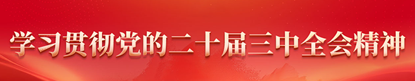 學習貫徹黨的二十屆三中全會精神